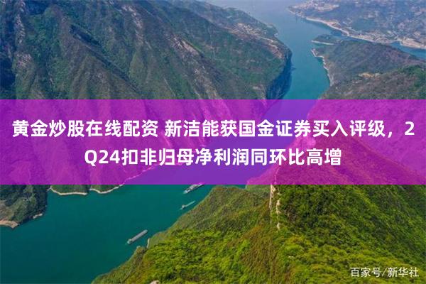 黄金炒股在线配资 新洁能获国金证券买入评级，2Q24扣非归母净利润同环比高增