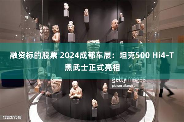 融资标的股票 2024成都车展：坦克500 Hi4-T黑武士正式亮相