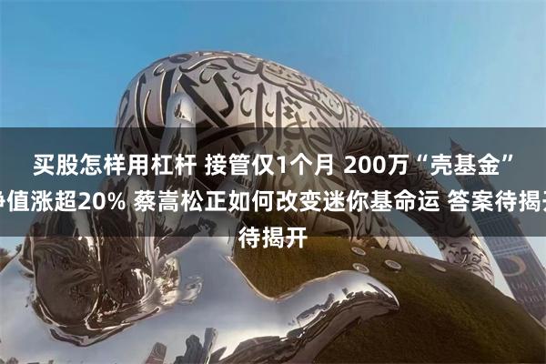 买股怎样用杠杆 接管仅1个月 200万“壳基金”净值涨超20% 蔡嵩松正如何改变迷你基命运 答案待揭开