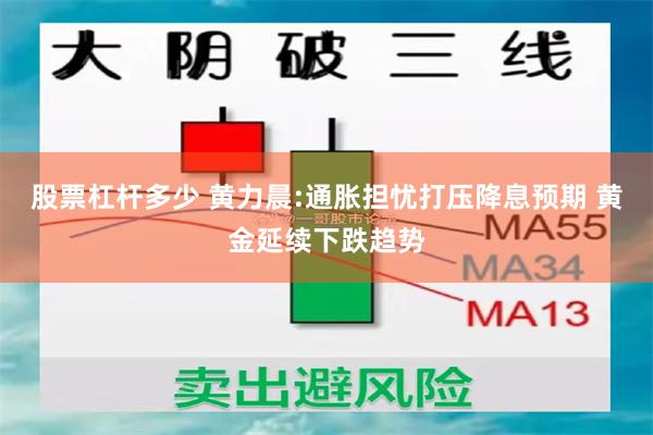 股票杠杆多少 黄力晨:通胀担忧打压降息预期 黄金延续下跌趋势