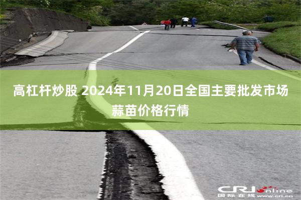 高杠杆炒股 2024年11月20日全国主要批发市场蒜苗价格行情