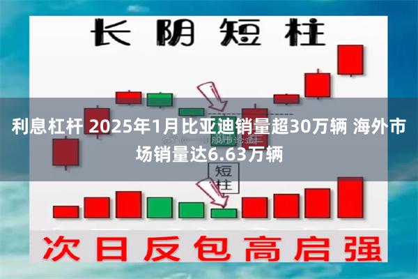 利息杠杆 2025年1月比亚迪销量超30万辆 海外市场销量达6.63万辆