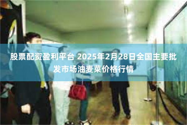 股票配资盈利平台 2025年2月28日全国主要批发市场油麦菜价格行情