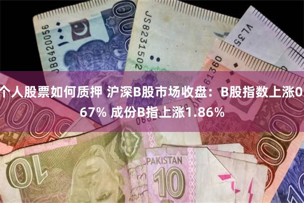 个人股票如何质押 沪深B股市场收盘：B股指数上涨0.67% 成份B指上涨1.86%