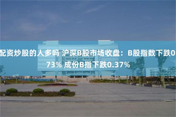 配资炒股的人多吗 沪深B股市场收盘：B股指数下跌0.73% 成份B指下跌0.37%